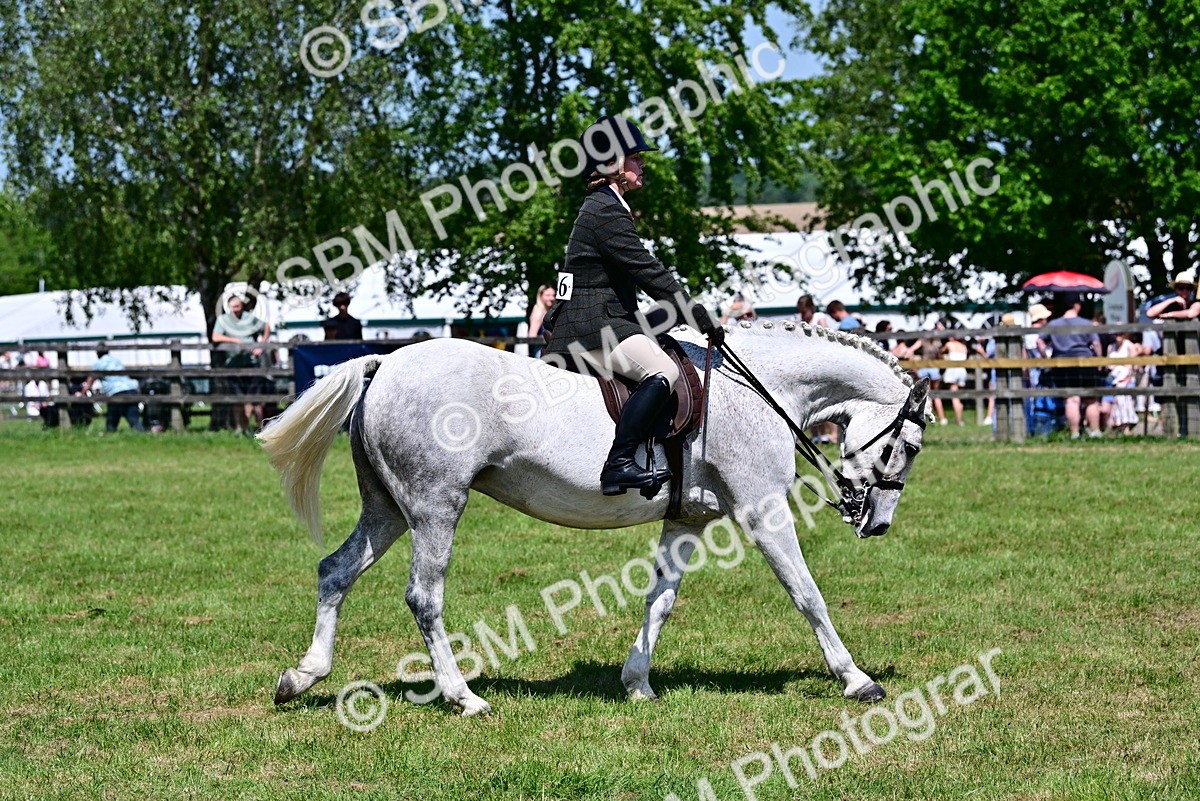 SBM_17462 - Class 95-97 - BSPS LHS Performance Ponies
