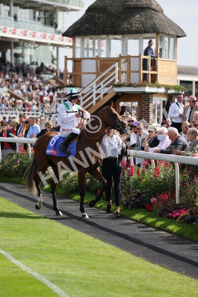 yr18082021r3-29 - Race 3 3.00pm Sky Bet Great Voltigeur Stakes