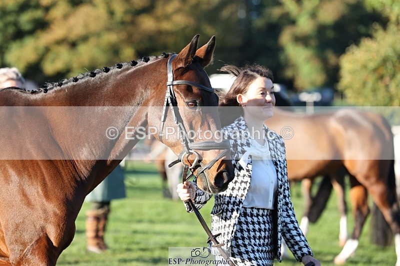 241027-083334-14660 - 390-Pippa.Howell-Phippard-NO.LIMIT.II