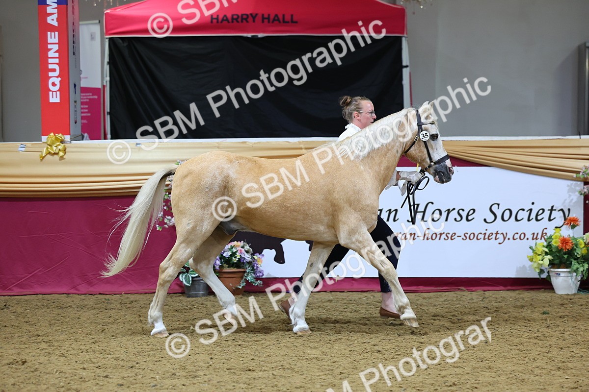 SBM_19375 - Class 901 - Supreme Final - IH Diamond