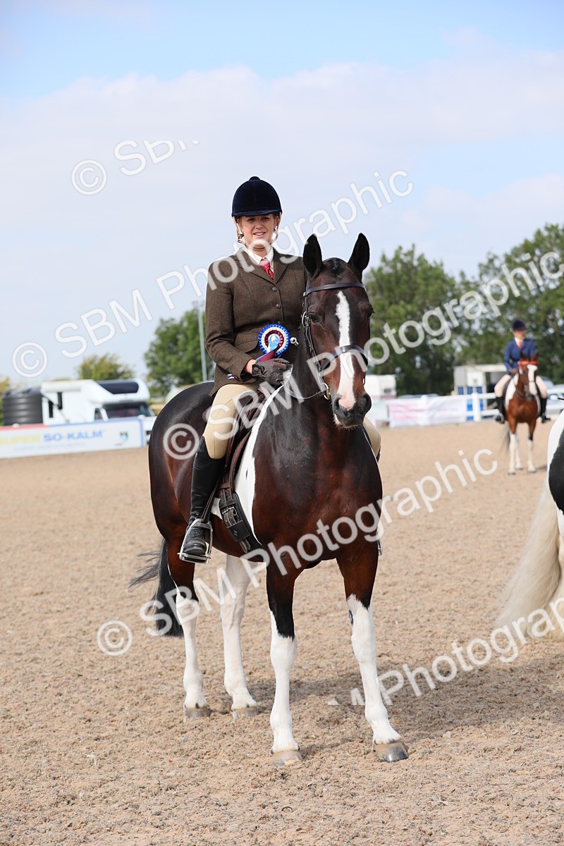SBM_13524 - Class 308 Ridden Coloured Horse