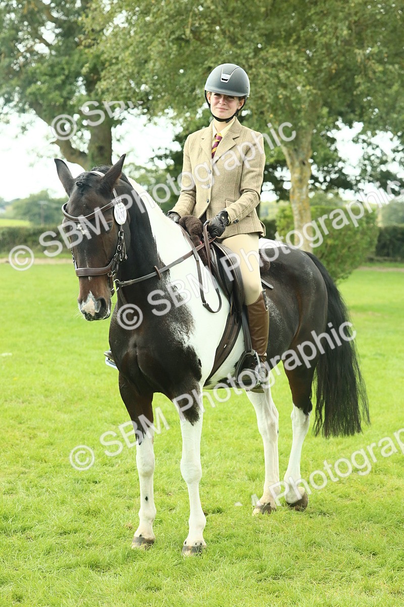 SBM_66454 - S34 - Rehabilitated Rescue Horse & Pony In Hand & Ridden