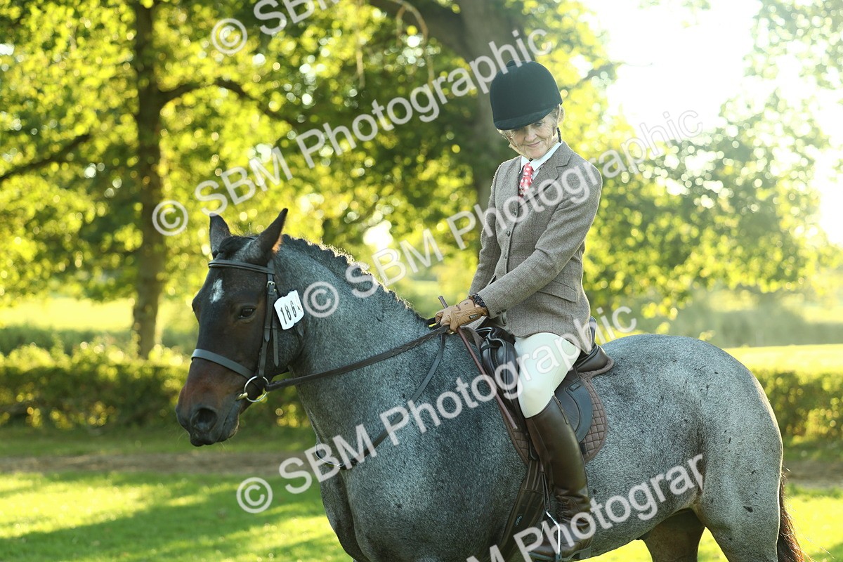 SBM_55636 - S14 - Riding Club Horse