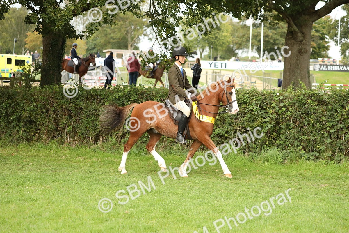 SBM_75352 - Equitation Supreme Championship