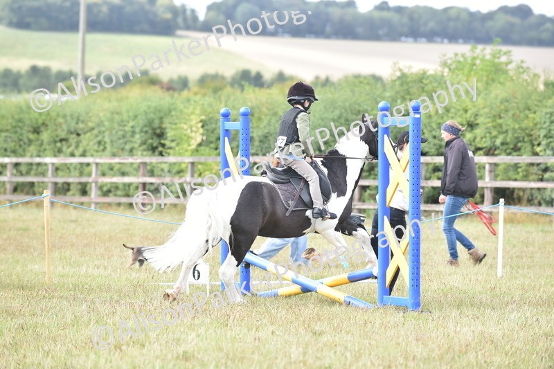 20250831-1802 - Class 8 - Hoof and Foot