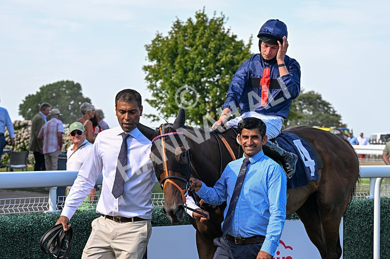 130826-Race 5-Wardlaw-9581 - Race 5 16.15pm Middle Distance Handicap