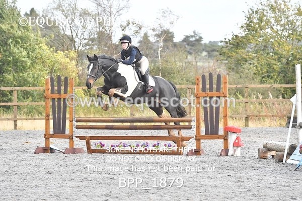 BPP_1879 - CLASS 3 - 80CM