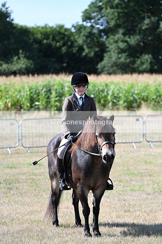 WJ7_3159 - Class 8 Ridden Tack & Turnout
