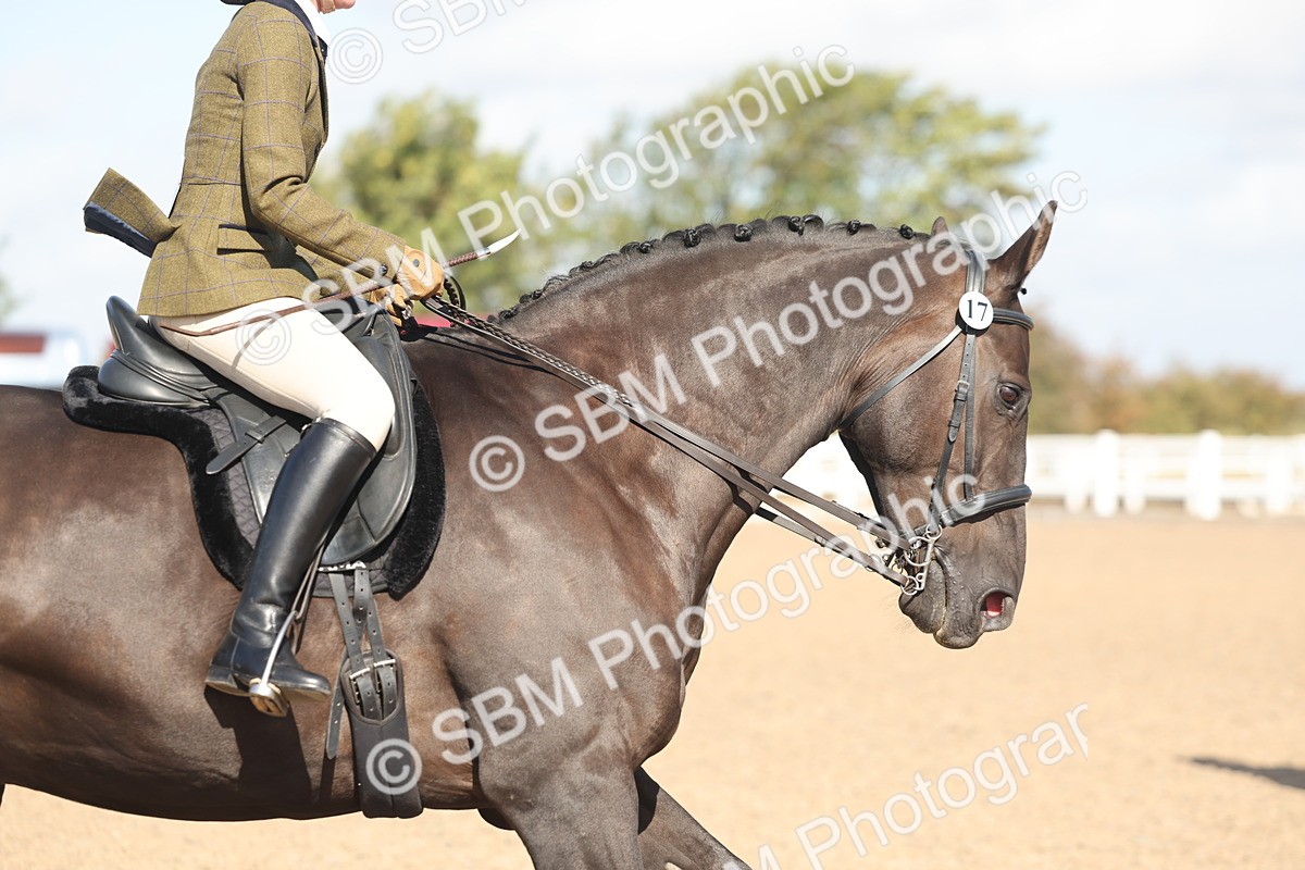 SBM_22663 - Class 805 - Ridden Veteran Horse