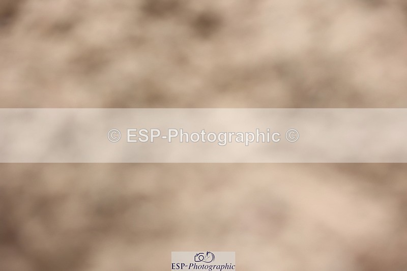 240621A-172443-05626 - Cls 5 Novice 27