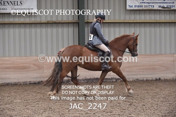 JAC_2247 - CLASS 2 Novice Working Hunter