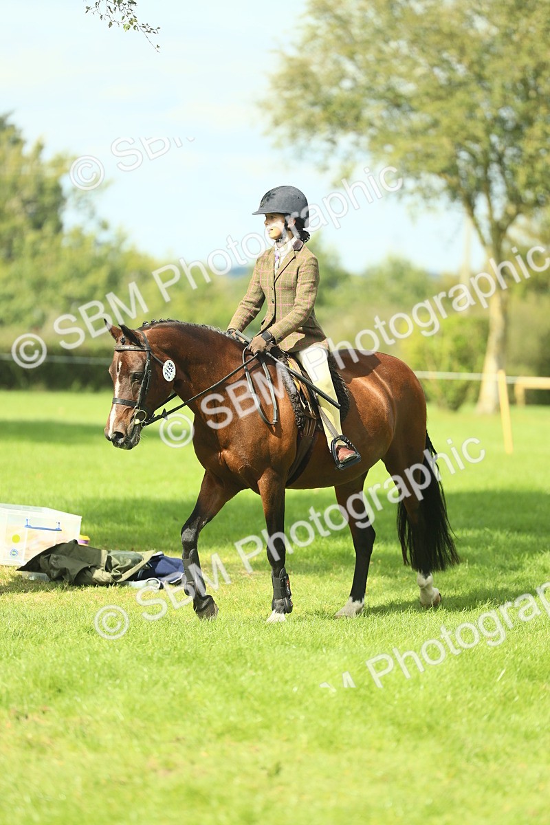 SBM_44603 - S31 - Working Hunter Pony