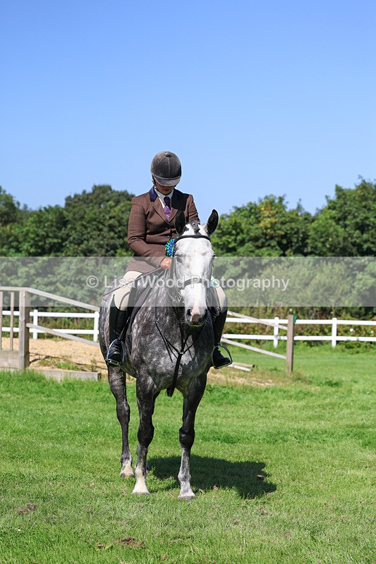 3E7A8507 - Class 4: Novice working Hunter
