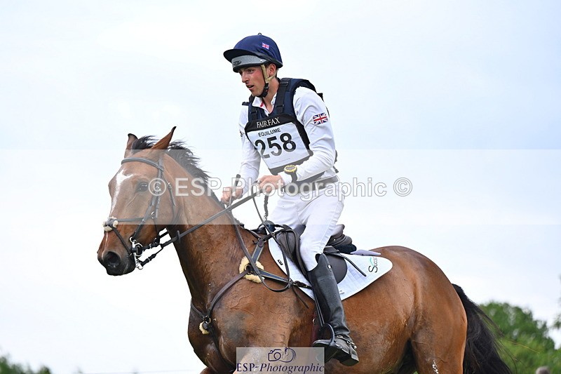 250524A-161142-14976 - C-258-Bill.Levett-ITALIAN.HARLEQUIN.NJ