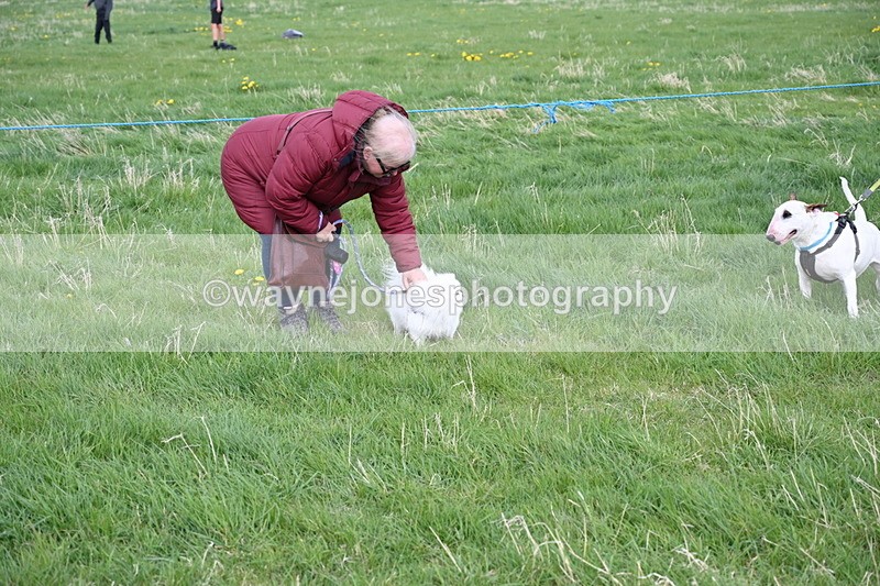 WJ6_8005 - Class 2 Best Pedigree