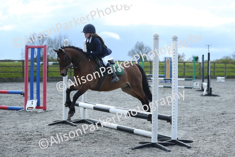 20260412-1796 - Show Jumping