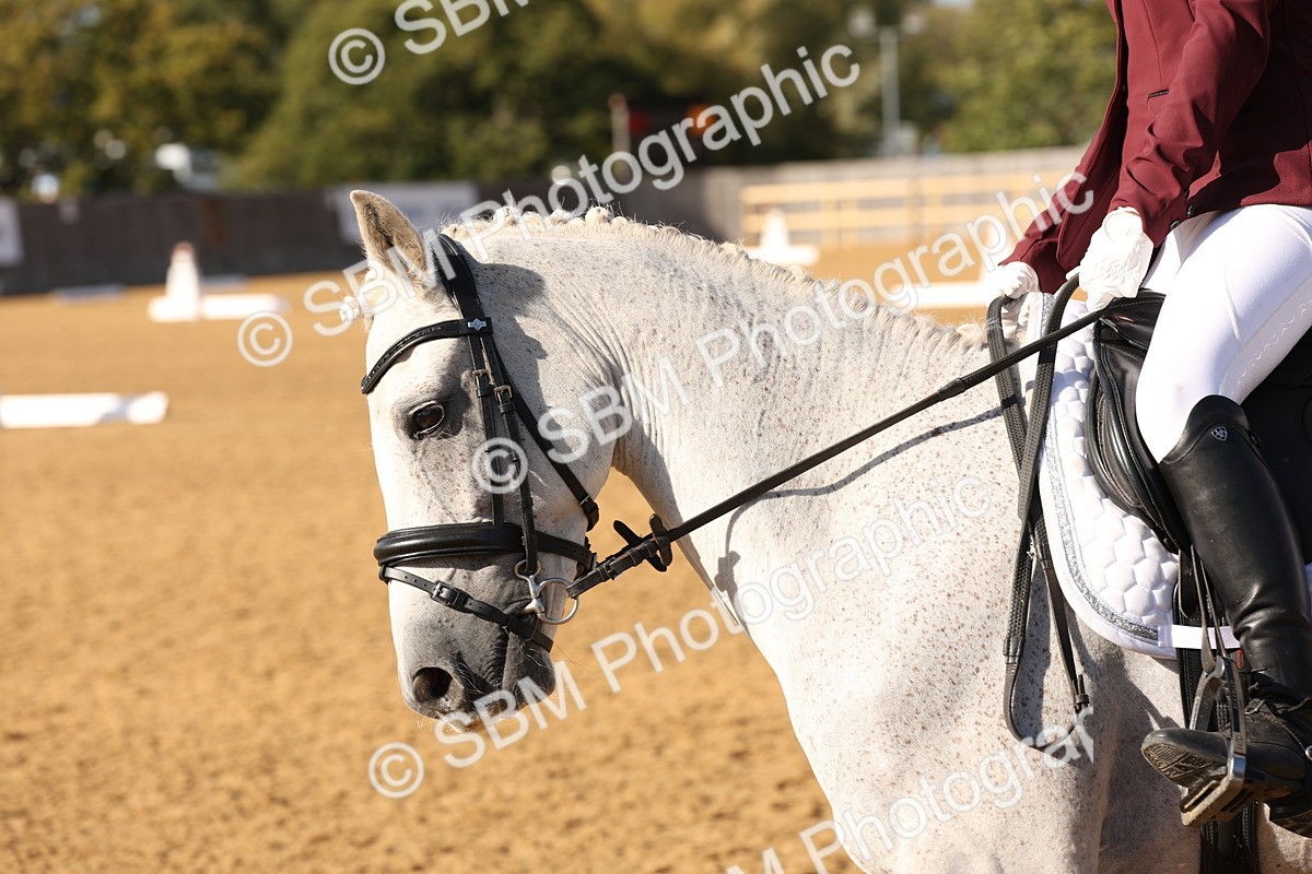 SBM_50461 - D12 - Small Tour Championship prelim 2