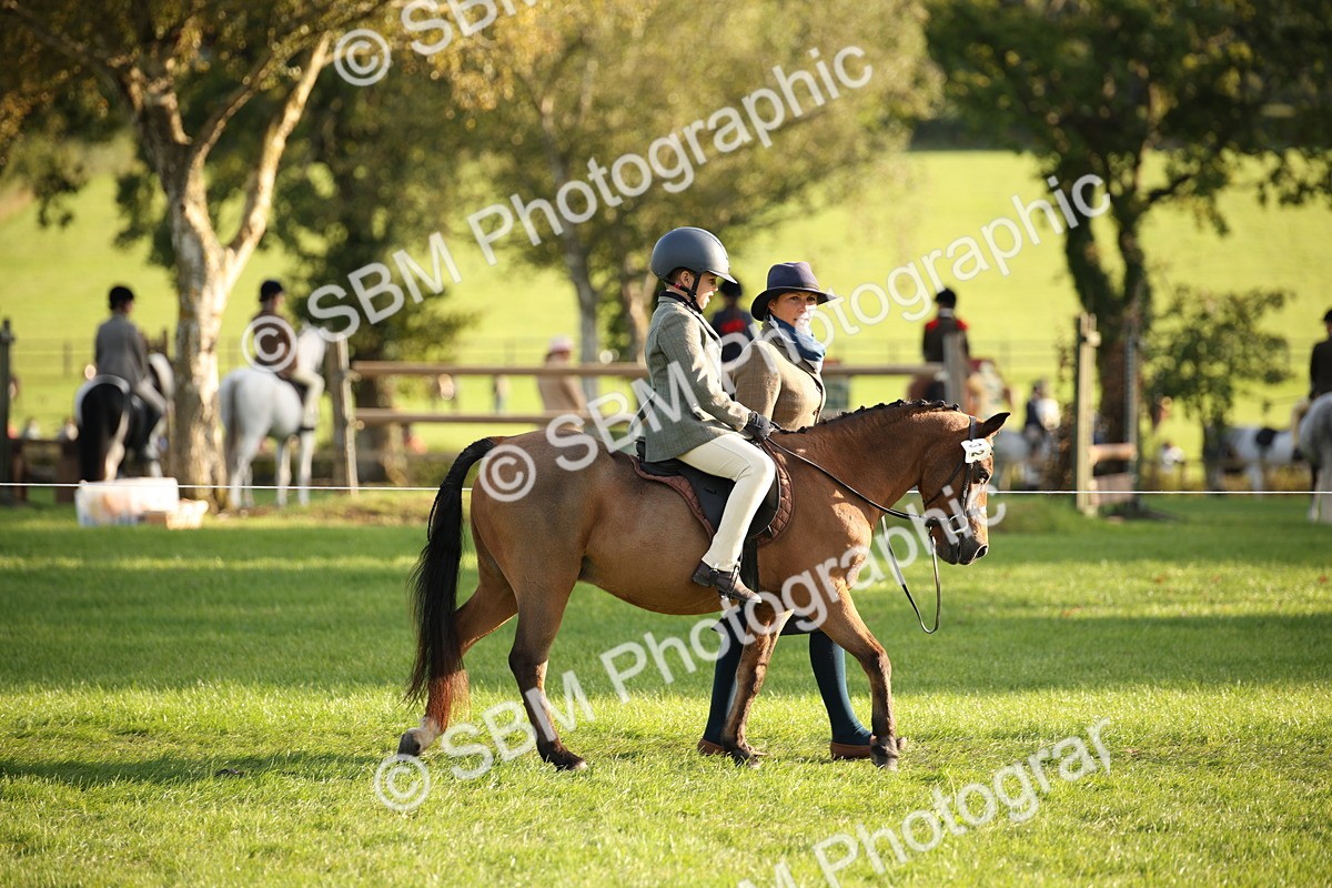 SBM_54374 - S27 - Mature Veteran - Ridden