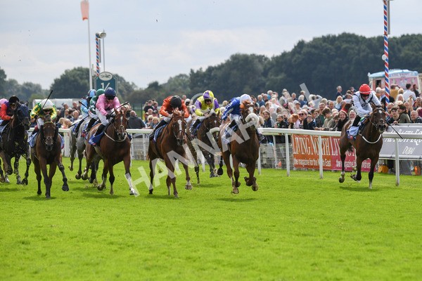 250823-Race 1-Marhaba The Champ-0113 - Race 1 1.50pm Sky Bet Handicap