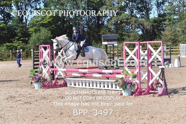 BPP_3497 - CLASS 2 Club/ Unaffiliated 80cms Open