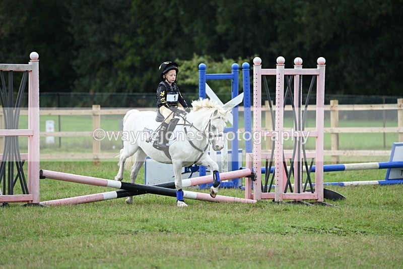 WJ6_0117 - 40cm Time 10:00 to 10:28