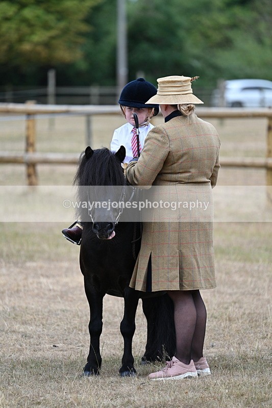 WJ7_8201 - Class 4 Prettiest Mare up to 14.2hh
