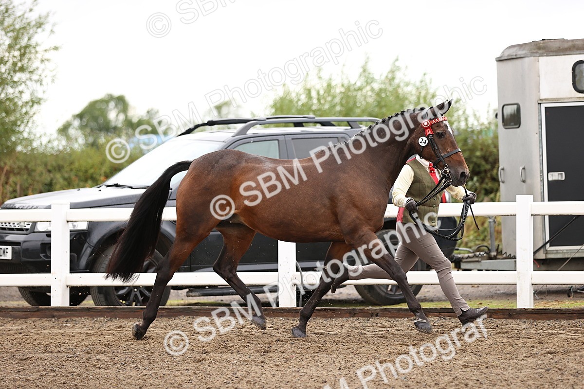 SBM_00046 - Class 50 - Best Turned Out - IH