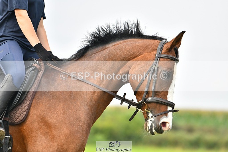 230817-090227-02464 - Abbie's 1st Group - Dressage