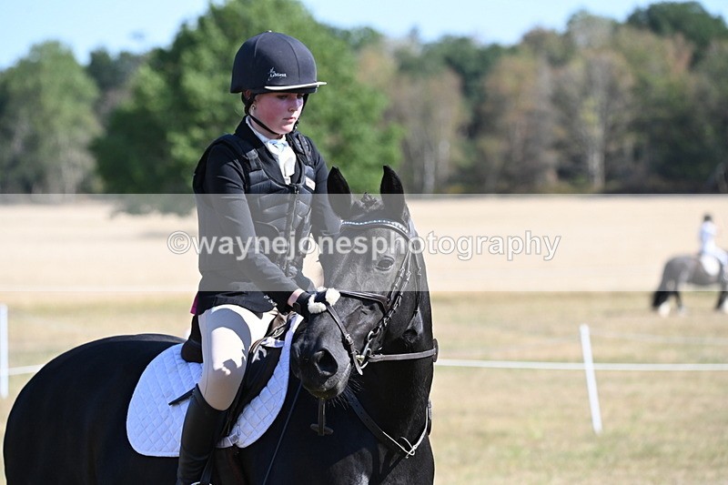 WJ6_7615 - Class 34 Judges Choice