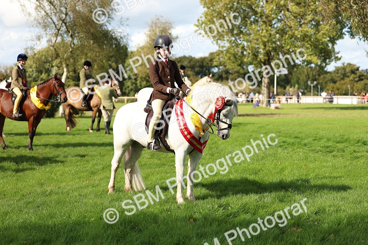 SBM_46387 - Working Hunter Pony Supreme Championship