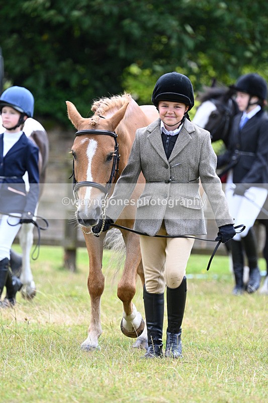 WJ7_6464 - Class 5 Handsome Gelding in hand