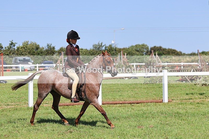 IMG_2074 - Class 34: Show Hunter Pony 153cm and under