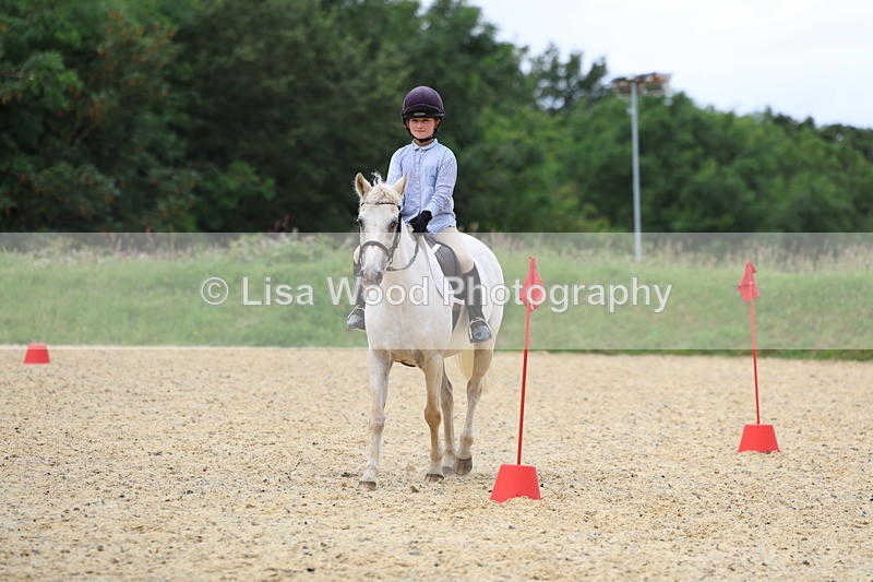 3E7A9501 - Walk trot run