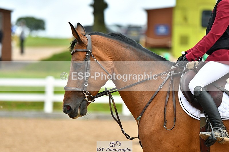 230812A-140020-09485 - Cls 28 95cm Nat Am Qualifier