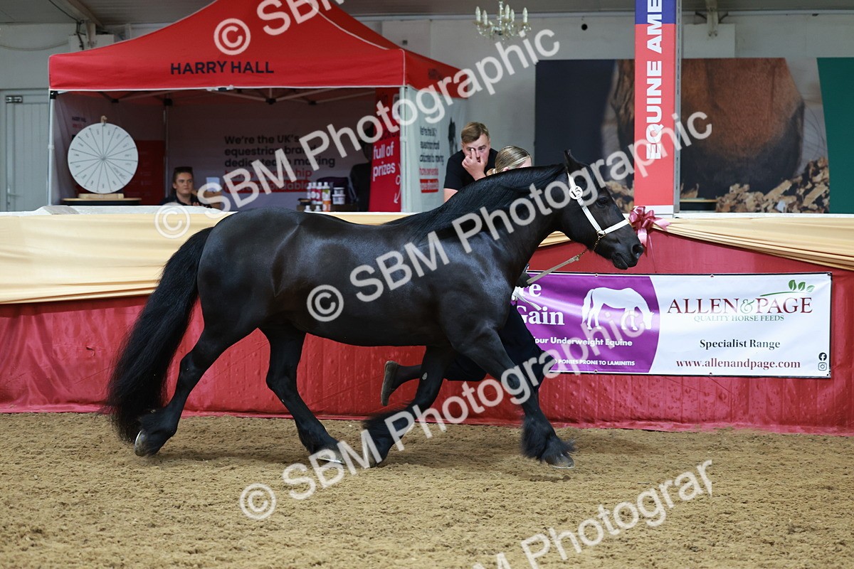 SBM_17619 - Class 951 - M&M IH Supreme Final