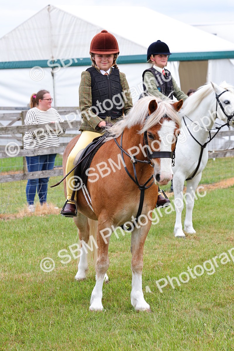 SBM_08810 - Class 42-43 - LIHS BSPS Heritage Working Sports Pony