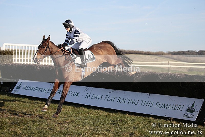PtP 240218 689 - Vine & Craven Hunt Point-to-Point Barbury racecourse 24/02/18