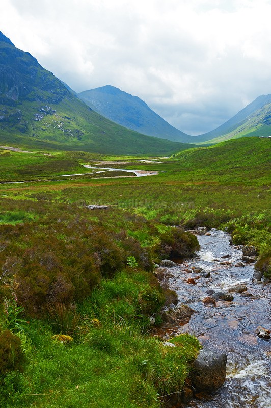 0624_73 - Scotland