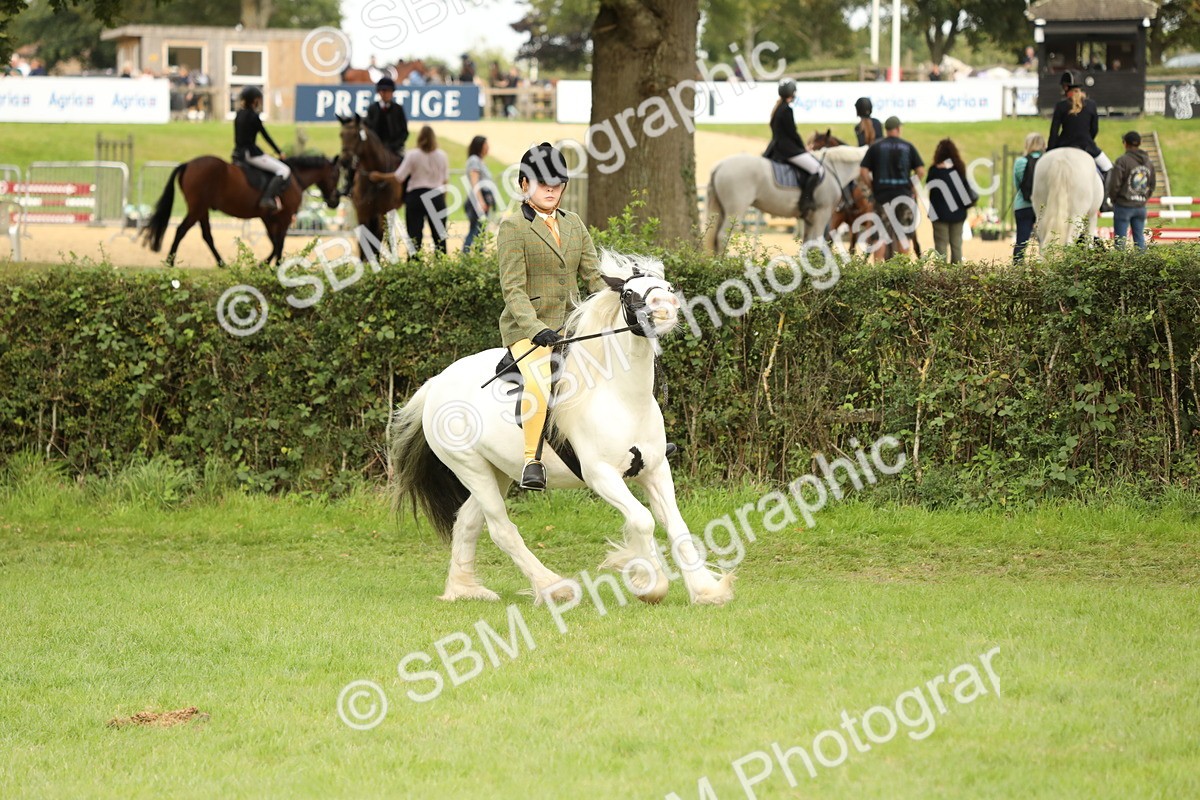 SBM_71563 - S41 - Ridden Equitation (Best Rider)