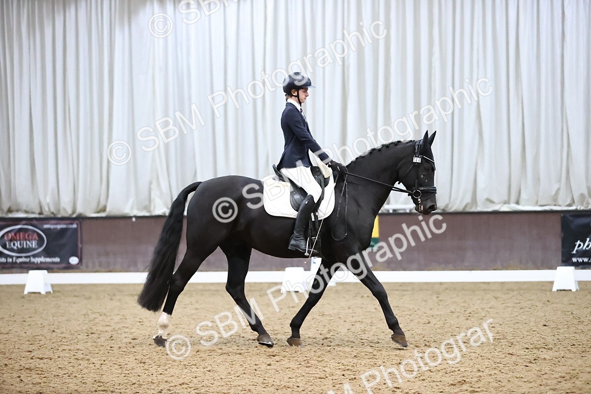 SBM_004331 - Intermediate