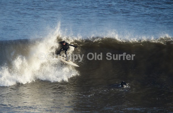 DSC_7690 - East Coast 27th Dec 2016