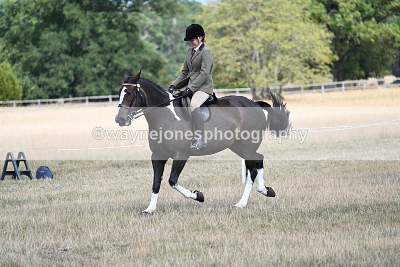 WJ7_6059 - Class 13 Ridden Veterans