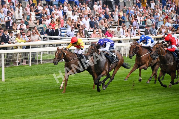 250725-Race 1-Pressures On - Quest For Fun-5339 - Race 1 5.30pm eventmasters.co.uk Handicap