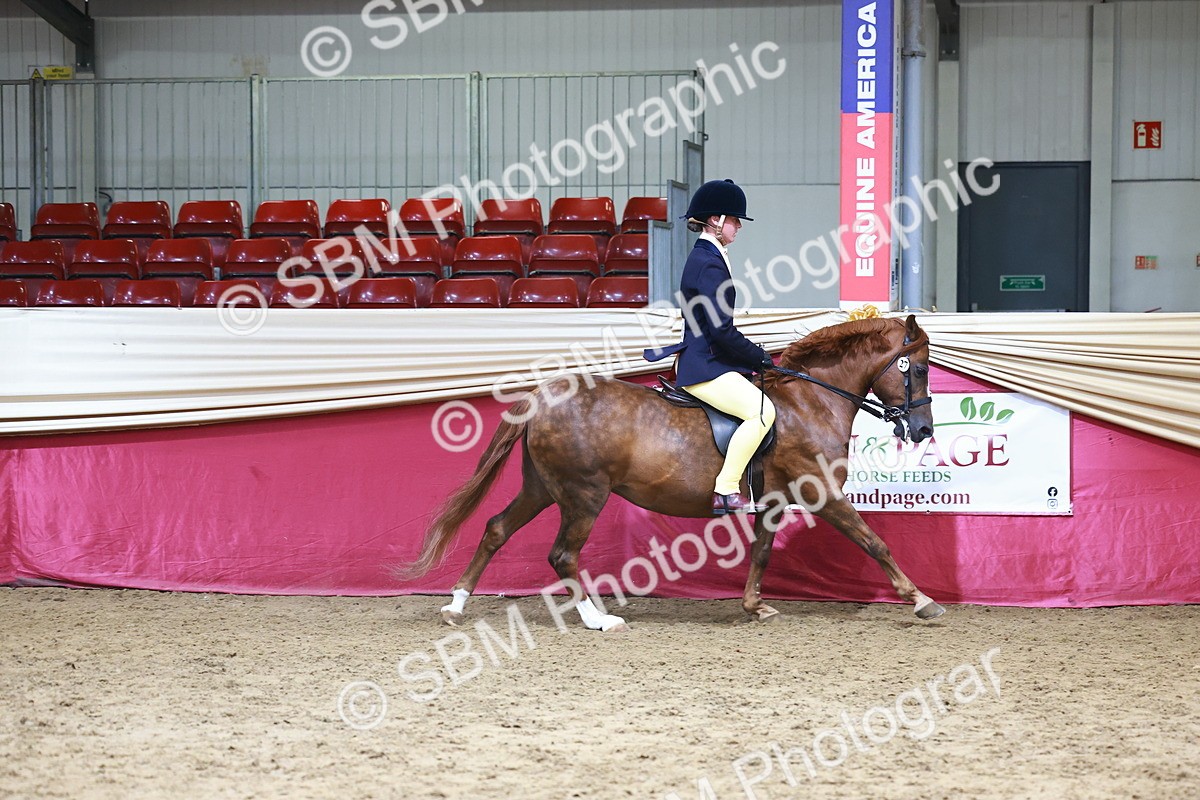 SBM_23271 - Class 904 - Supreme Final - Ridden Diamond