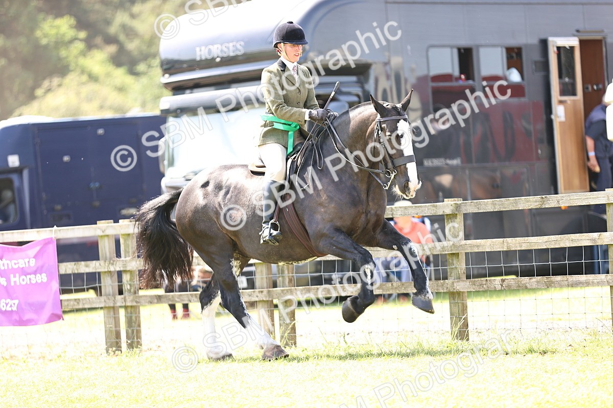 SBM_13853 - Class 77 - LIHS BSHA Rising Star Cobs