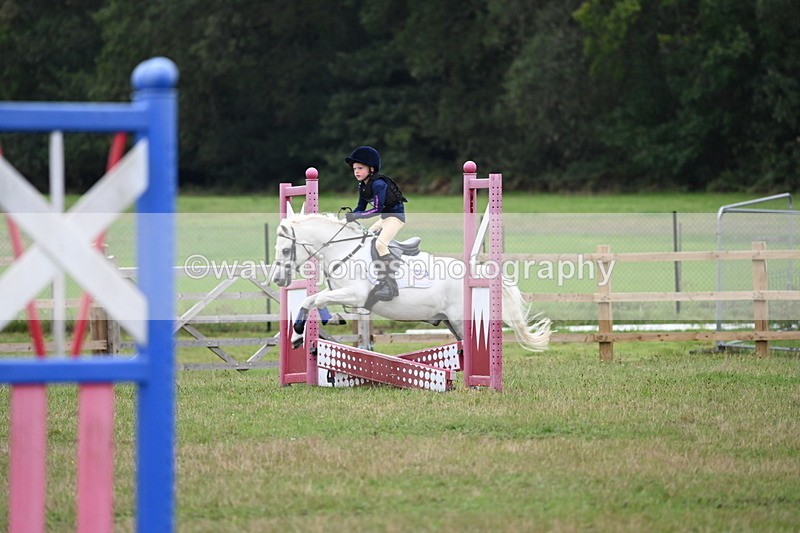 WJ6_0386 - 40cm Time 10:29 to 10:52