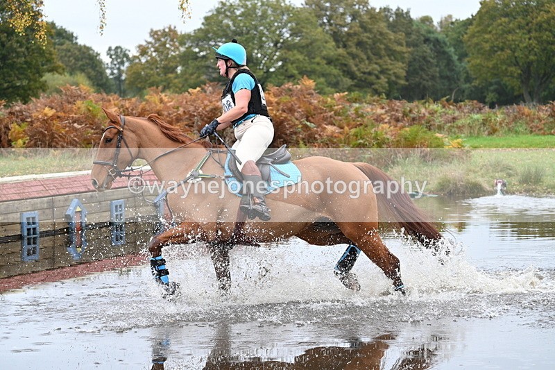 WJ7_2717 - 90cm Cam 2 Water Time 13:05 to 13:27