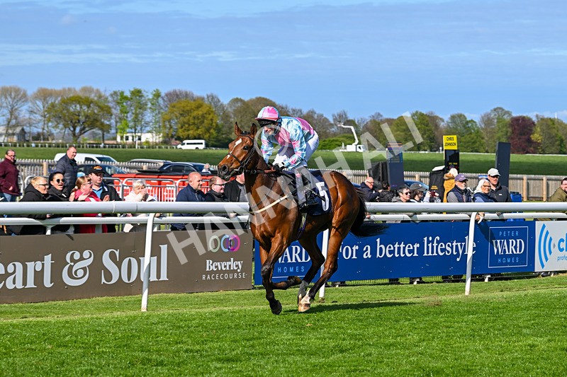 240425-Race 6-Alfie Boy-1667 - Race 6