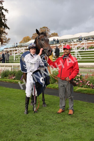 yr07102022r4-65 - Race 4 3.50pm William Hill Best Odds Guaranteed Stakes