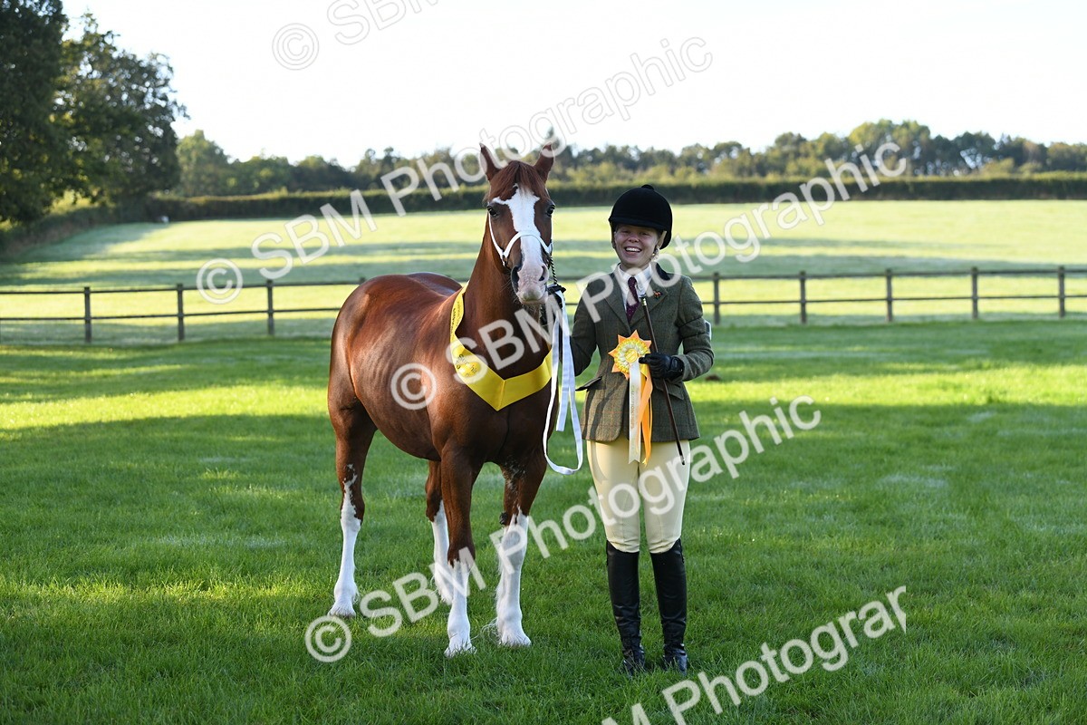 SBM_32830 - S15 - Condition & Turnout In Hand